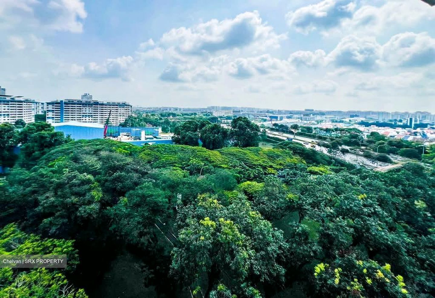 Blk 459 Teck Ghee Grandeur (Ang Mo Kio), HDB 5 Rooms #596611191